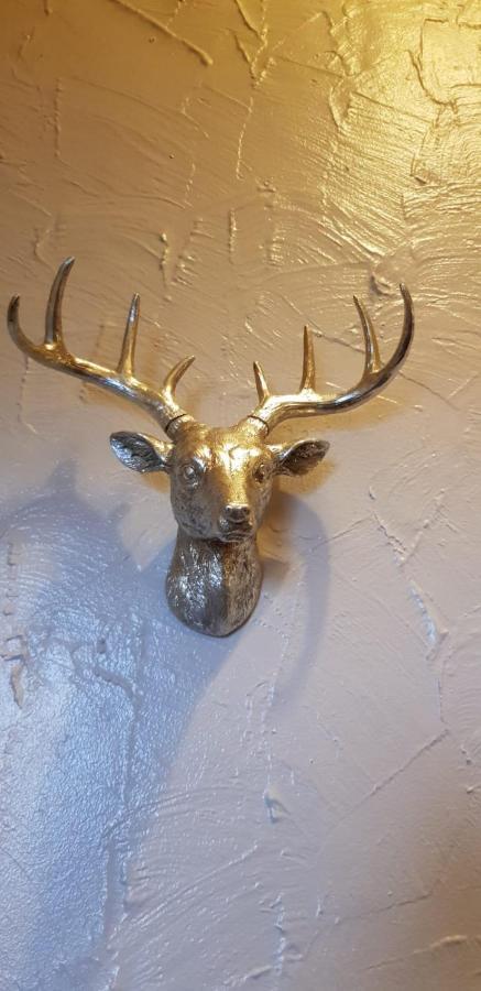 Newburgh Guesthouse Torquay Zewnętrze zdjęcie